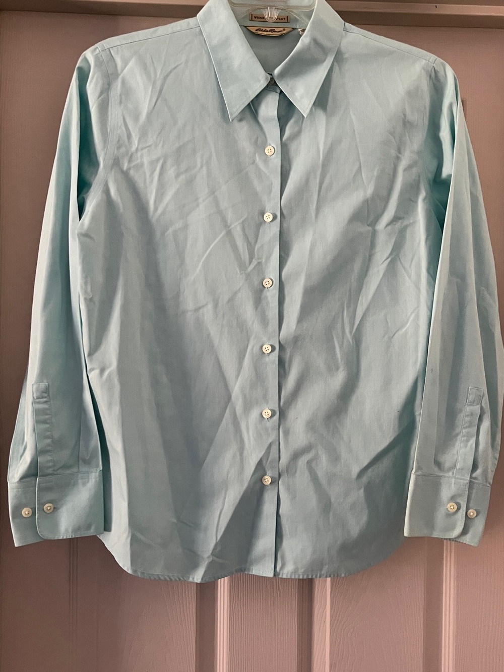 Eddie Bauer Mint green Button-Up Dress Shirt no iron size Large